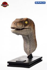 1:1 Male Raptor Life-Size Bust (The Lost World: Jurassic Park)