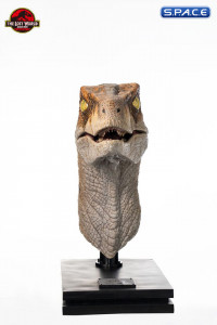 1:1 Male Raptor Life-Size Bust (The Lost World: Jurassic Park)