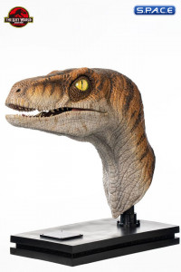 1:1 Male Raptor Life-Size Bust (The Lost World: Jurassic Park)