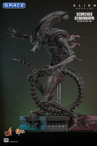 1/6 Scale Scorched Xenomorph Movie Masterpiece MMS784 (Alien: Romulus)