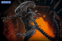 1/6 Scale Scorched Xenomorph Movie Masterpiece MMS784 (Alien: Romulus)