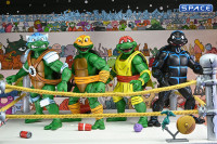 Stump Wrestling Turtles 4-Pack (Teenage Mutant Ninja Turtles)