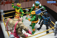 Stump Wrestling Turtles 4-Pack (Teenage Mutant Ninja Turtles)