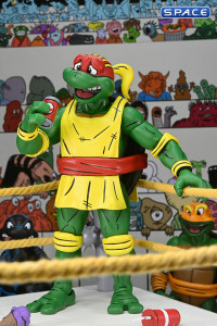 Stump Wrestling Turtles 4-Pack (Teenage Mutant Ninja Turtles)