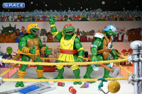 Stump Wrestling Turtles 4-Pack (Teenage Mutant Ninja Turtles)