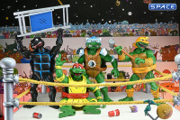 Stump Wrestling Turtles 4-Pack (Teenage Mutant Ninja Turtles)