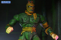 The Rat King (Teenage Mutant Ninja Turtles)