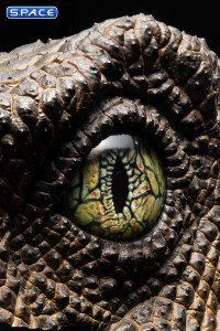 1:1 Velociraptor Eye Life-Size Replica (Jurassic Park)