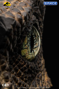 1:1 Velociraptor Eye Life-Size Replica (Jurassic Park)