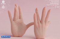 1/6 Scale Hand Set AT209A - pale Version