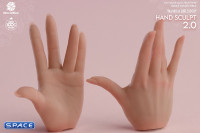 1/6 Scale Hand Set AT209A - light Tan Version