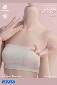 1/6 Scale Hand Set AT209B - pale Version