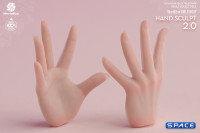 1/6 Scale Hand Set AT209B - pale Version