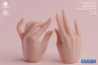 1/6 Scale Hand Set AT209B - pale Version