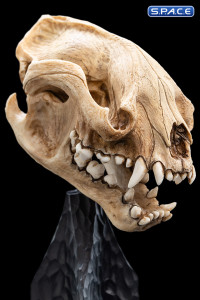 Skull of a Warg (Lord of the Rings)