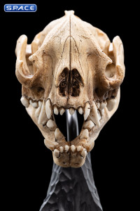 Skull of a Warg (Lord of the Rings)