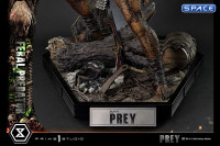 1/3 Scale Feral Predator Museum Masterline Statue (Prey)