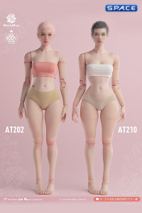 1/6 Scale female Body AT210A (pale)