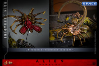 1/6 Scale Rain Carradine Movie Masterpiece MMS793 (Alien: Romulus)