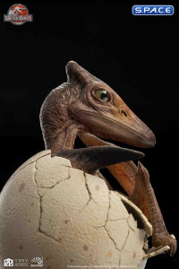 1/2 Scale Hatching Pterosaur Set (Jurassic Park)