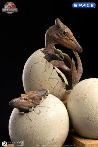 1/2 Scale Hatching Pterosaur Set (Jurassic Park)