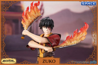 Zuko Statue (Avatar: The Last Airbender)