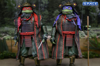 Donatello & Raphael 2-Pack (Teenage Mutant Ninja Turtles III)