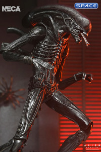 Ultimate Xenomorph XX121 (Alien: Romulus)