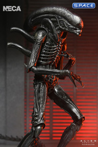 Ultimate Xenomorph XX121 (Alien: Romulus)