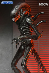 Ultimate Xenomorph XX121 (Alien: Romulus)