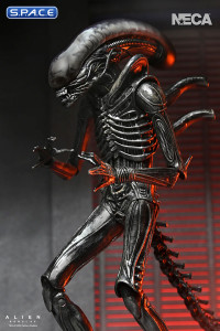 Ultimate Xenomorph XX121 (Alien: Romulus)