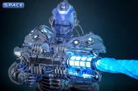 1/6 Scale Mr. Freeze Movie Masterpiece MMS799 (Batman & Robin)