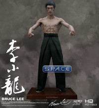 Bruce Lee 70th Anniversary HD Masterpiece Statue (Bruce Lee)