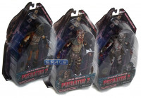 Predators Series 5 Assortment (14er Case)