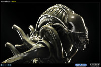 Alien Warrior Statue (Aliens)