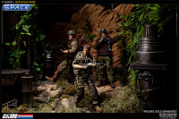 1/6 Scale Green Beret - Lieutenant Falcon SDCC 2012 Excl. (G.I. Joe)