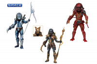 Predators Series 10 Assortment (14er Case)